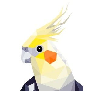 Meet your Posher, Forest